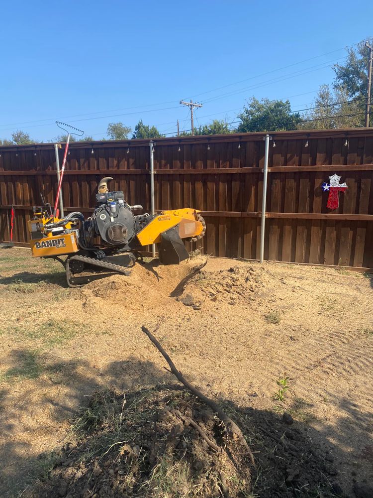 Our stump grinding service removes unsightly tree stumps quickly and safely, improving your yard’s appearance, preventing pest problems, and creating a smooth, usable space for landscaping or new planting. for West Stump Grinding in Temple, TX
