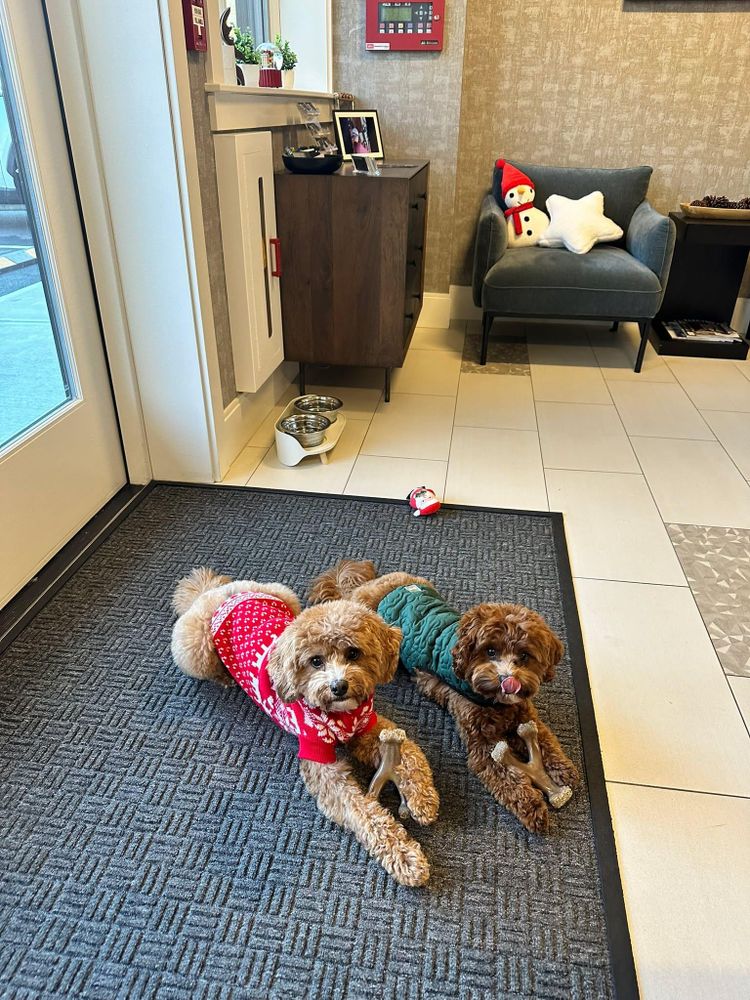 All Photos for Daniels Electric in Groveland, MA