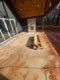 All Photos for JB Applewhite's Pressure Washing in Anderson, SC