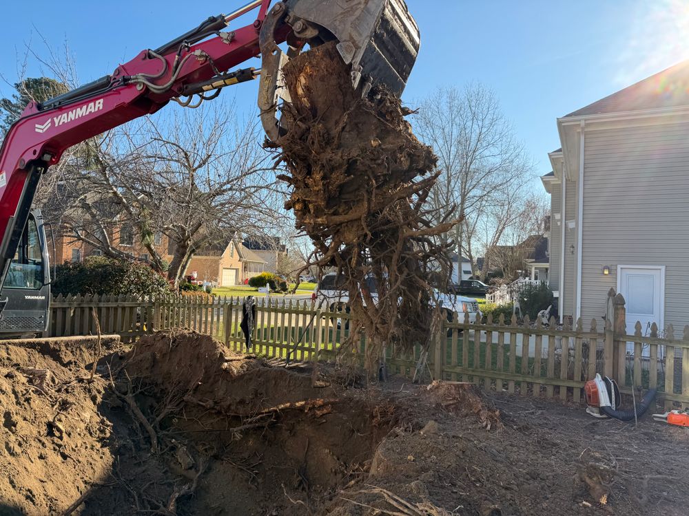 Our Stump Removal service efficiently eliminates unsightly stumps, enhancing your landscape's beauty and safety. We use advanced techniques to ensure complete removal, promoting a clean and healthy outdoor environment for your home. for Tidewater Tree Service in Chesapeake, VA