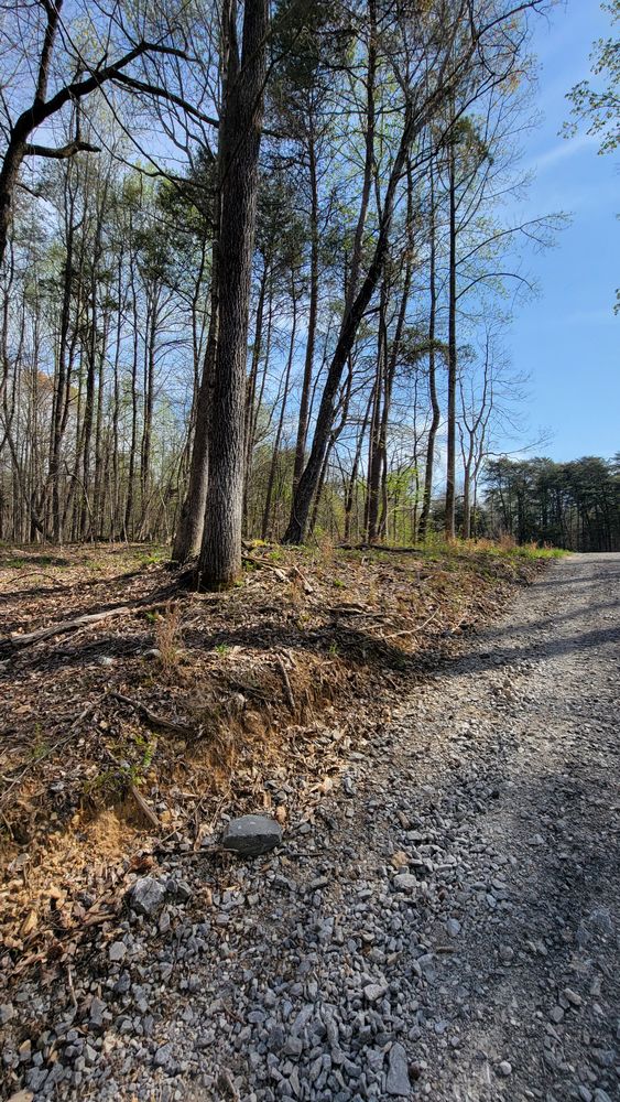 All Photos for Z's Land Management & Forestry Mulching in Smithville, TN