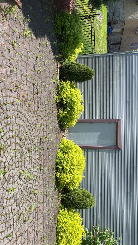 All Photos for Denicola’s Lawn Care in Oxbow,  NY