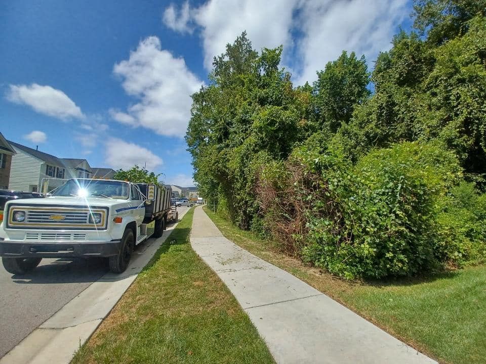 Enhance your home's curb appeal with our expert shrub trimming services, ensuring healthy growth and a polished look. Our team carefully shapes each shrub for optimal beauty and longevity in your landscape. for MTJ Tree Removal LLC in Zebulon, NC