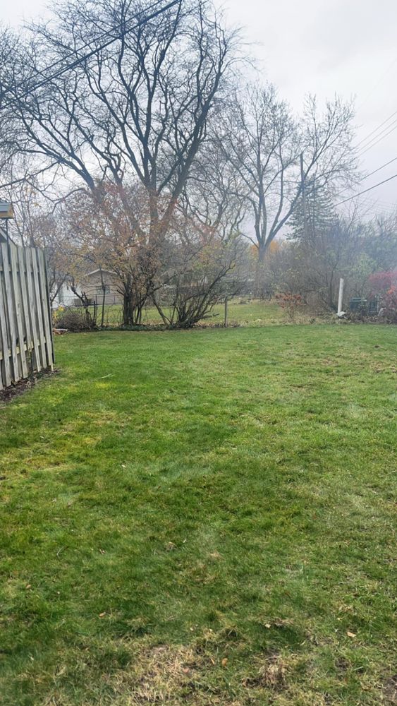 All Photos for Quick Removal Solutions in Lansing, MI