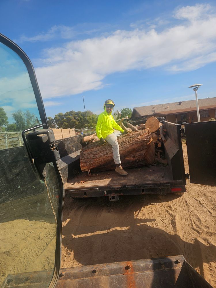 All Photos for T's Tree Service and Firewood in Apache Junction, AZ