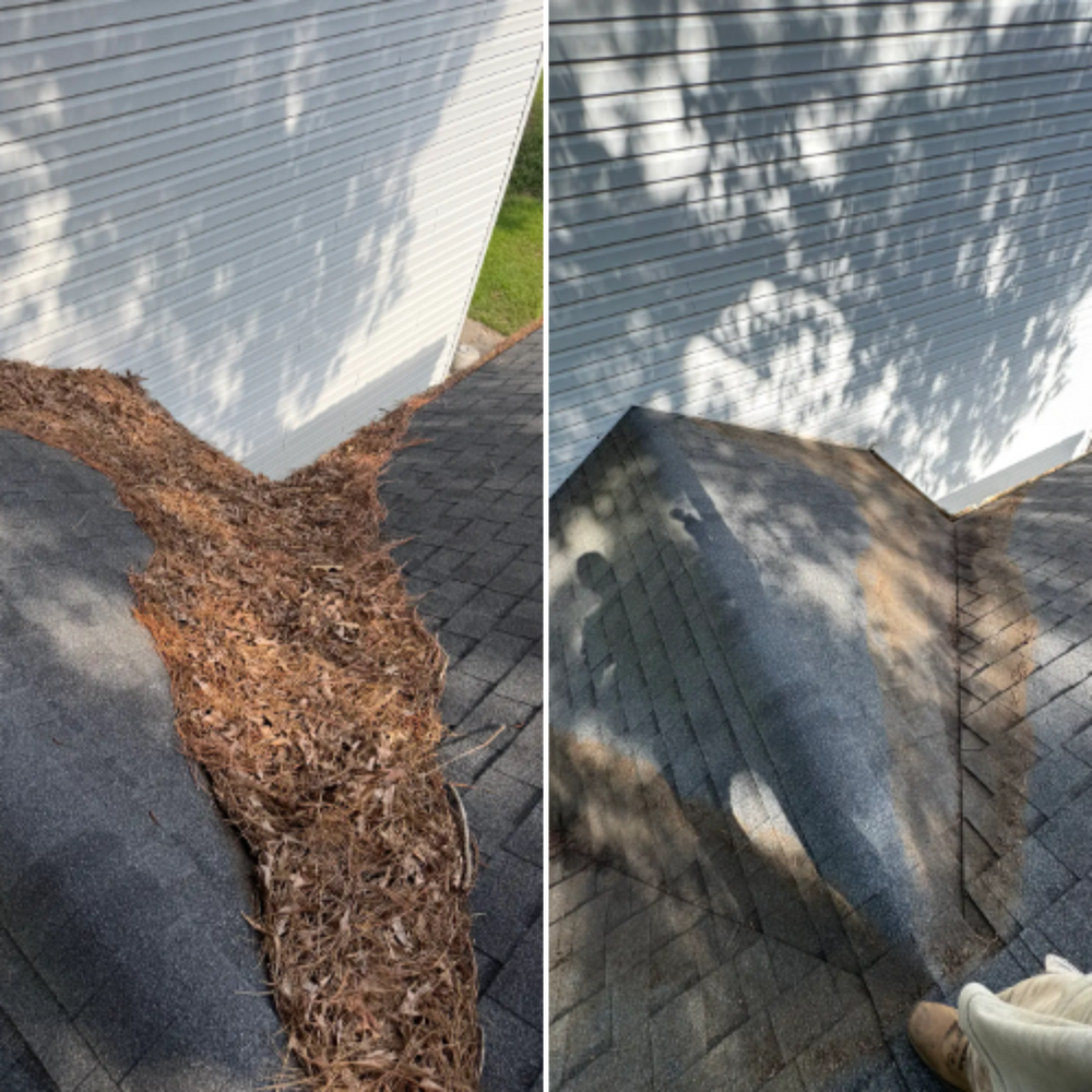 Mowing for Paul's Lawn Care and Pressure Washing in Wilson, NC