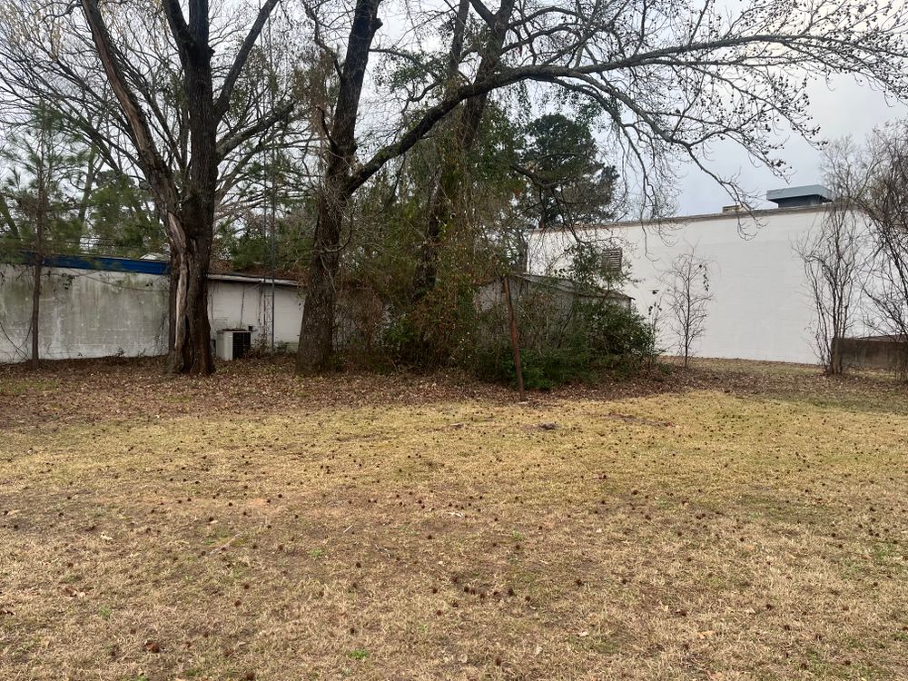 All Photos for JC Land and Tree Service in Kilgore, TX