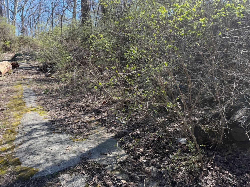 All Photos for A1 Bush Hogging & Lawn Service in London, OH