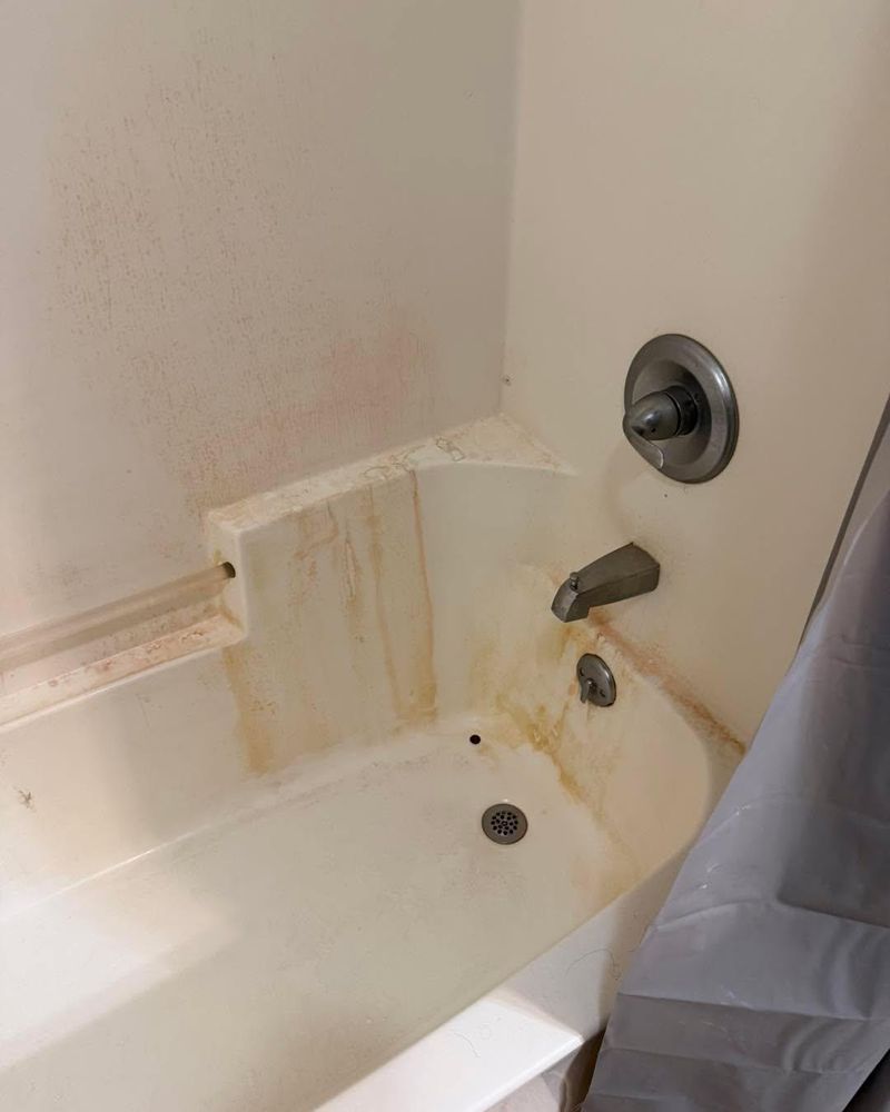 All Photos for The Domestic Goddess in Wisconsin Rapids, WI