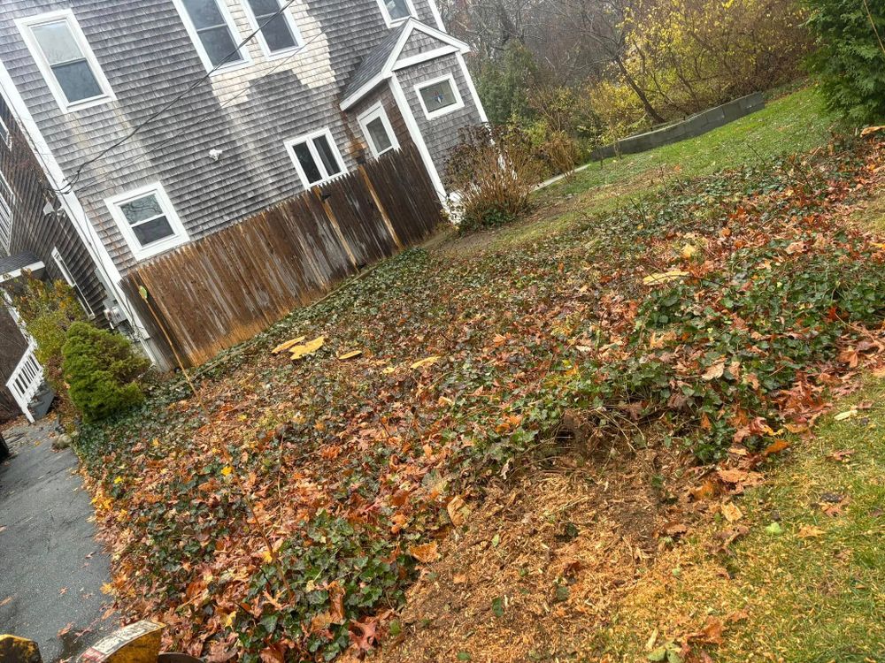 All Photos for Dwights Tree Service LLC in Middleborough, MA