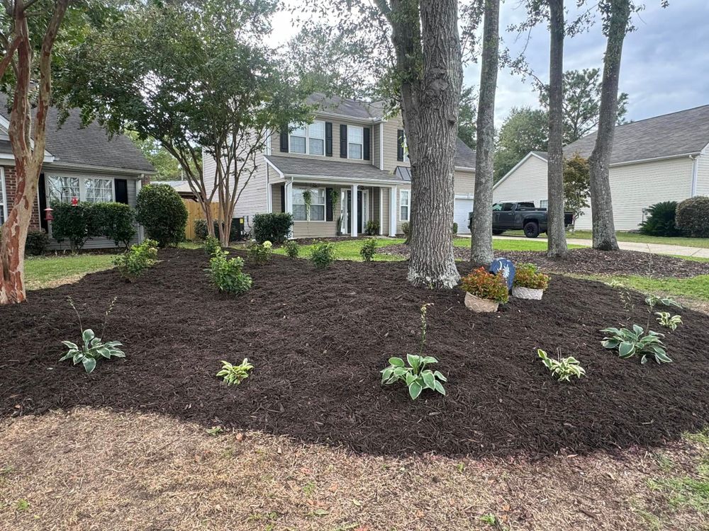 Landscaping for Trophy Outdoor Solutions in Lexington, SC