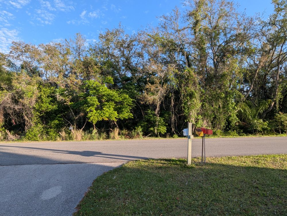 All Photos for Regal Tree Service and Stump Grinding in Wauchula, FL