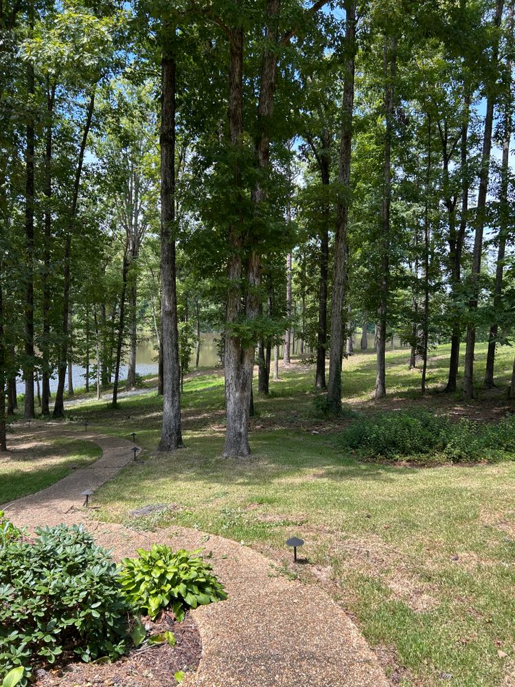 All Photos for Broadway & McMullen Construction in Hattiesburg, MS