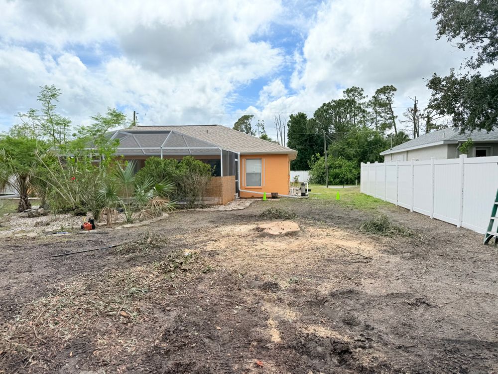 All Photos for MX Trees LLC in Englewood, FL