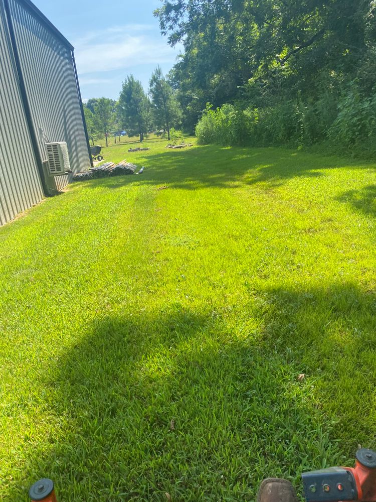 All Photos for Apex Lawn & Landscaping INC in Dyersburg, TN