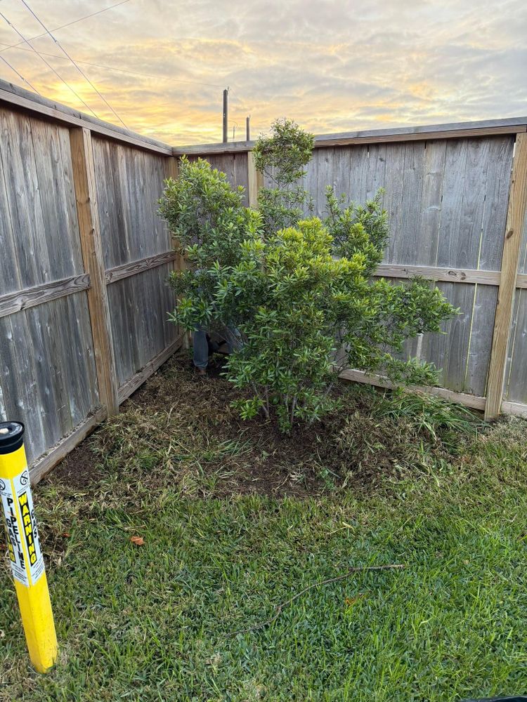 All Photos for Texas Curb N Borders in Houston, TX