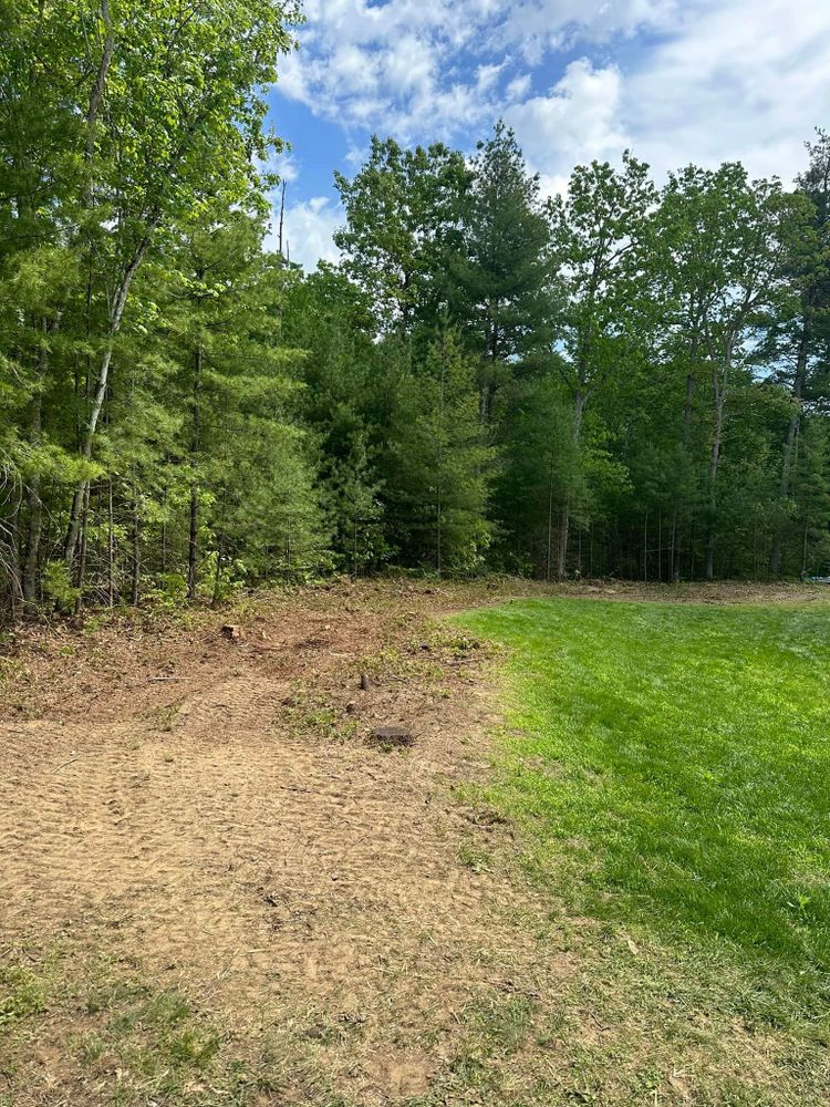 Tree Removal for Leaf and Limb in Townsend, MA