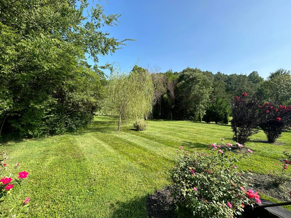 All Photos for TJ’s Landscaping in Knoxville, TN