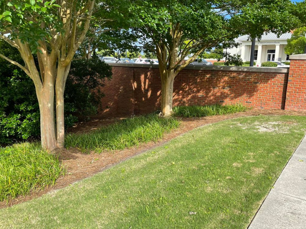 Lawn Care for A&A Property Maintenance in Jacksonville, NC