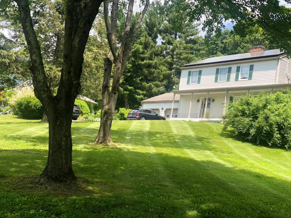 Lawn Care for Guaman’s Landscaping in Waterbury, CT