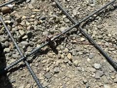 All Photos for Triple R Permitting Services in Citrus Heights, CA