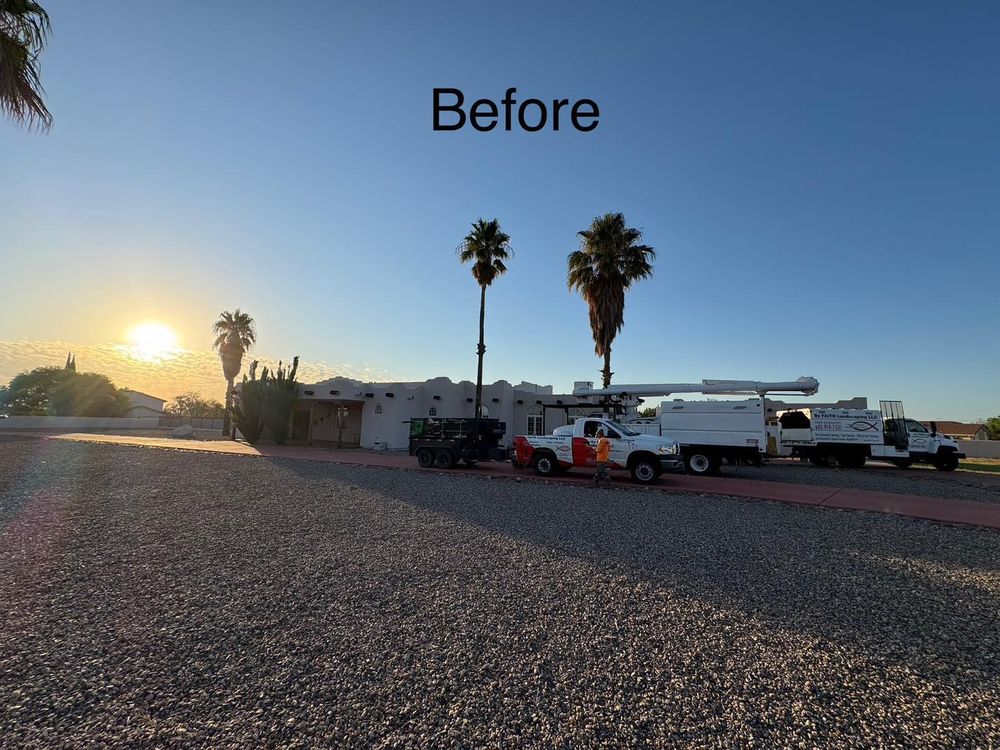 Stump Removal for By Faith Landscaping in Sierra Vista, AZ