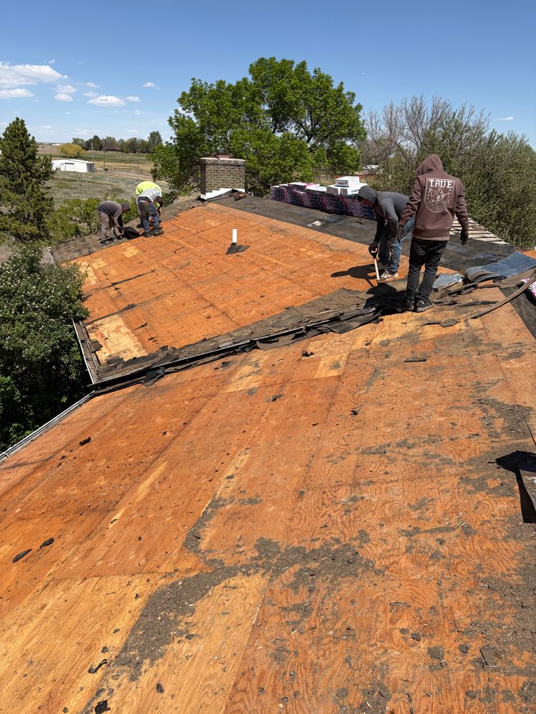 In production for Divine Roofing LLC in Severance, CO