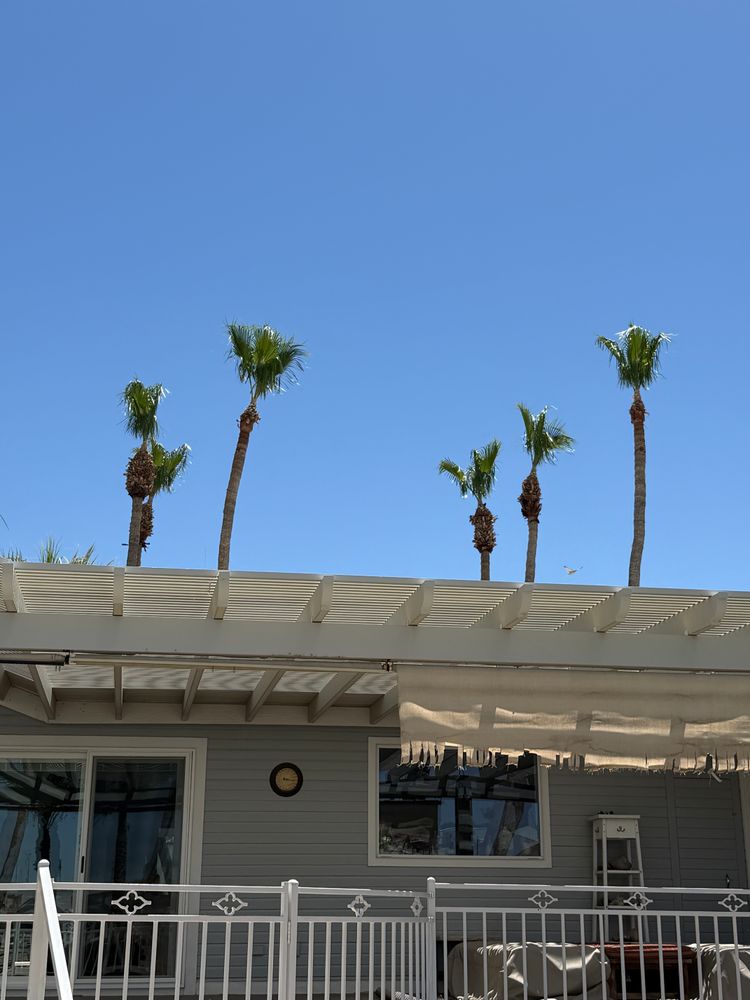 Tree trimming for Top Notch Landscape Services LLC in Mohave Valley, AZ