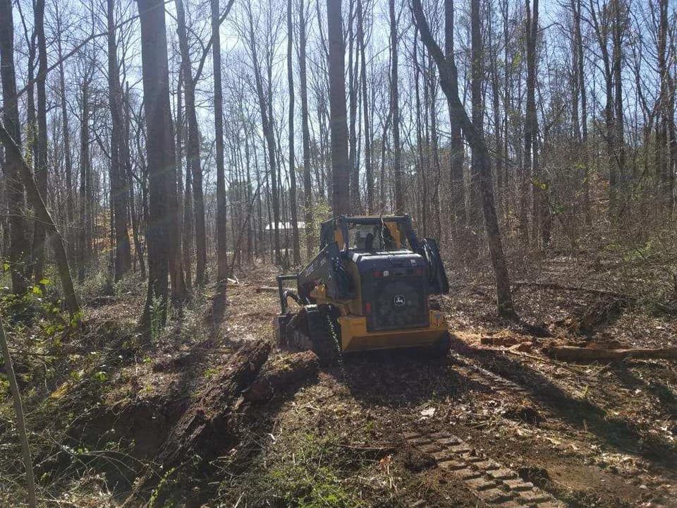 Tree Removal for CCS Forestry Mulching in Woodleaf, NC