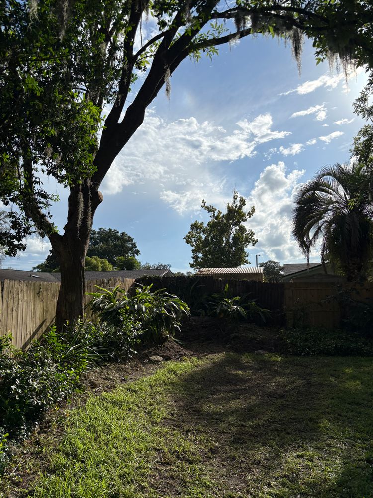 All Photos for Top Notch Tree Experts in Orange Park, FL