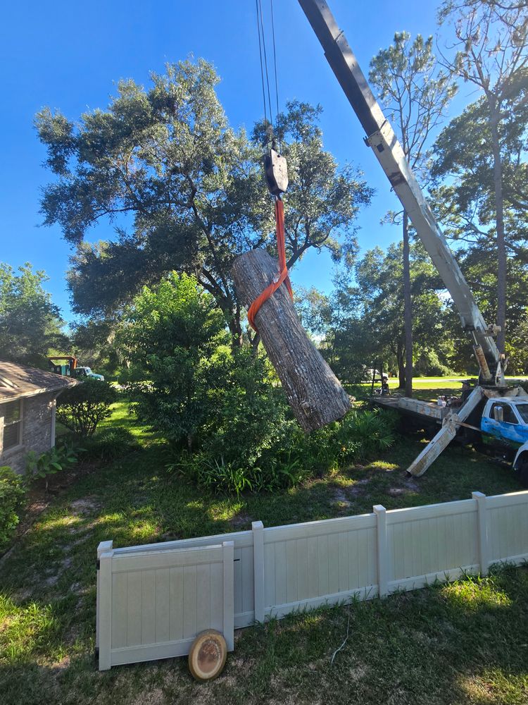 All Photos for Near Me Tree Service, Inc. in DeLand, FL
