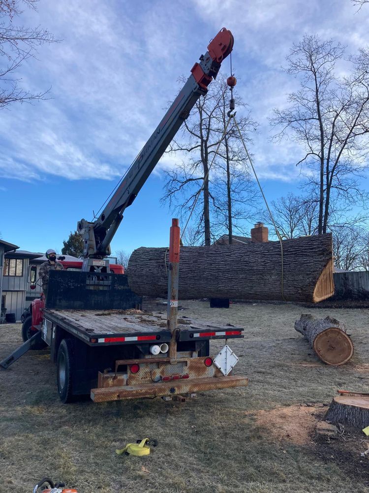 All Photos for Summit Tree Care LLC in Fort Wayne, IN