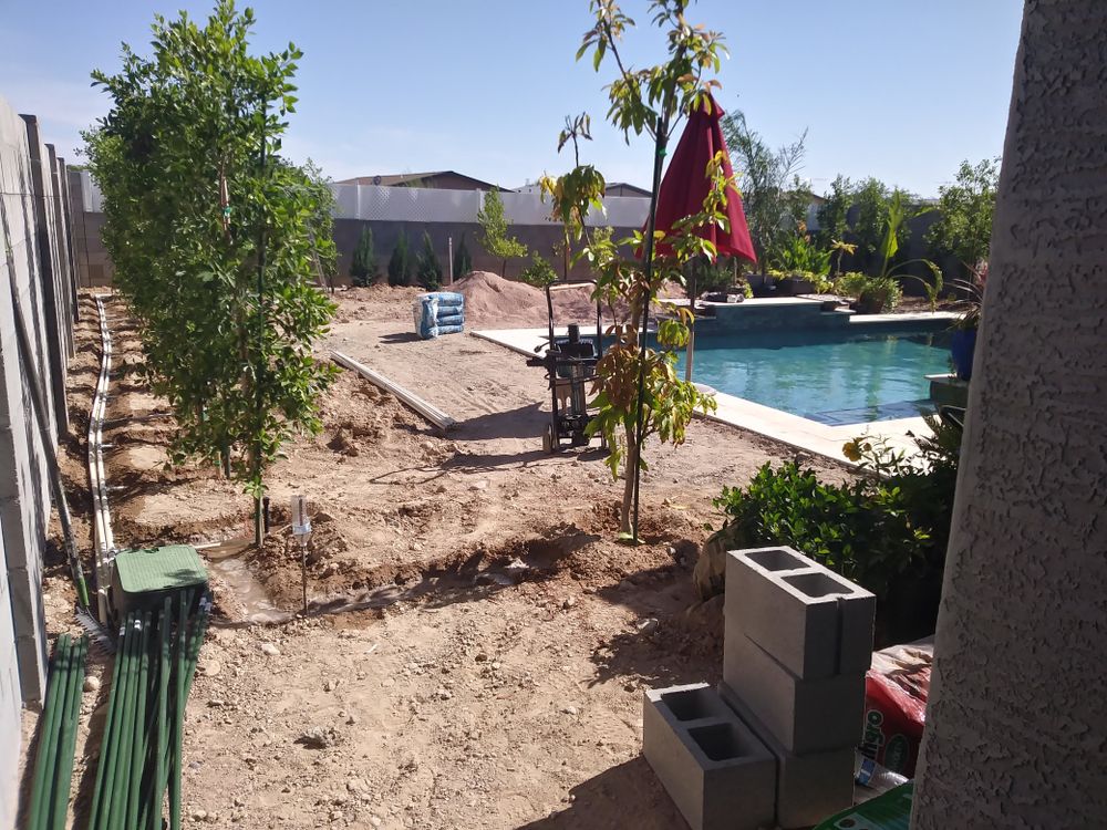 Landscaping for Sharp Image LLC Landscaping & Hardscape in Phoenix, AZ