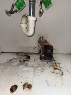 All Photos for N&D Restoration Services When Disaster Strikes, We Come In in Cape Coral,  FL