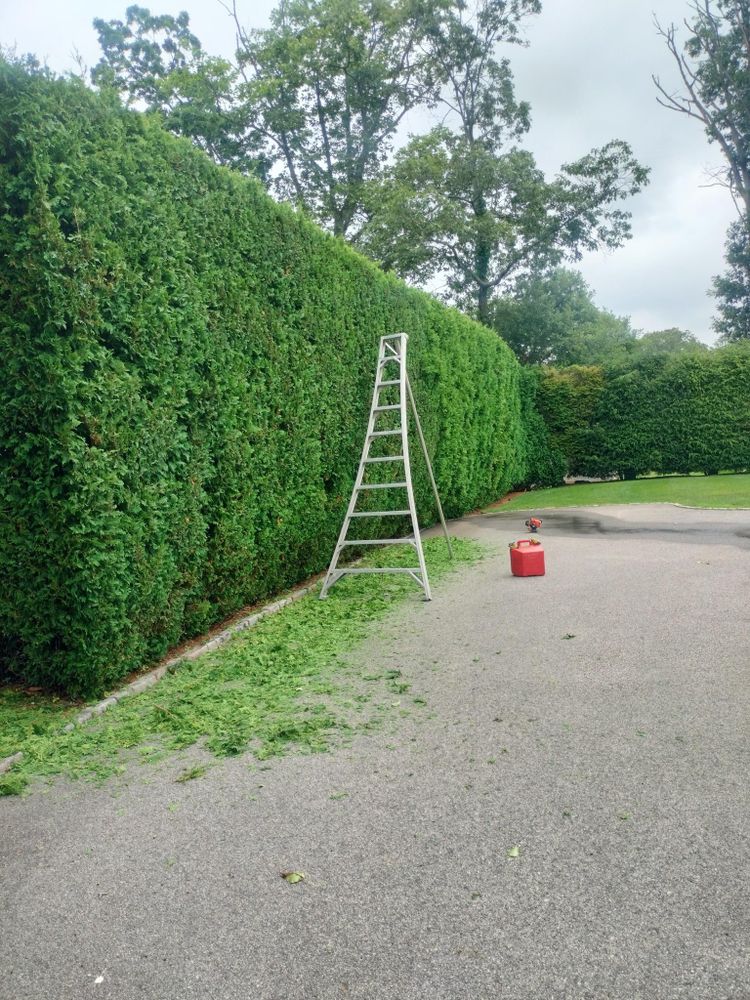 All Photos for CHACH Landscaping & Construction in Providence, RI