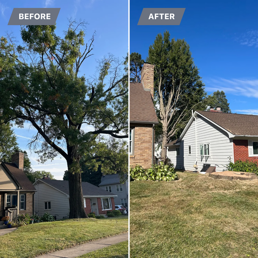 All Photos for Fransen's Tree Service  in Freeport, IL