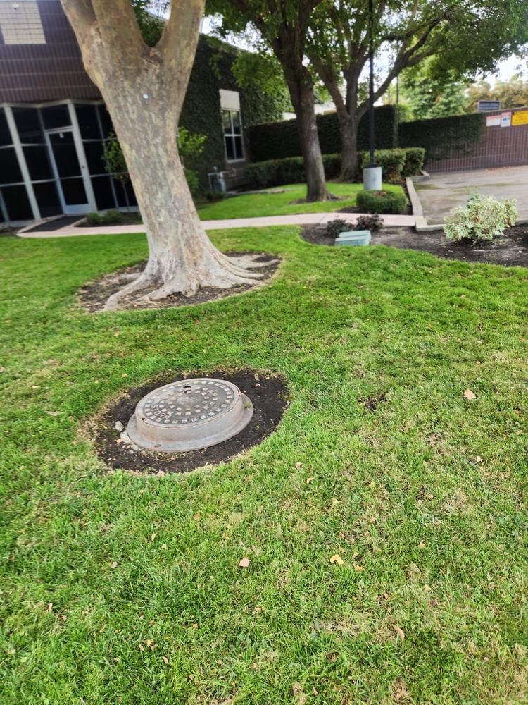 All Photos for Vargas LANSCAPE LLC in Stockton, CA