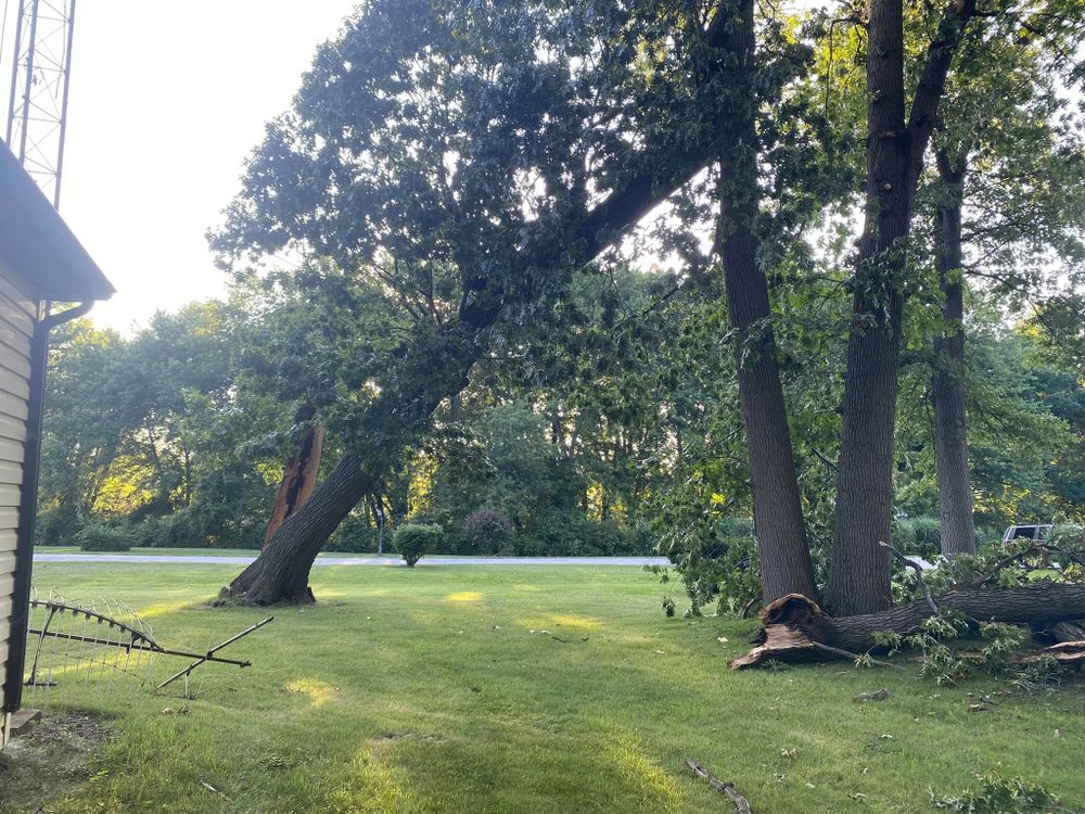 Emergency Storm Work for Highborn Tree Service in Wheatfield, IN