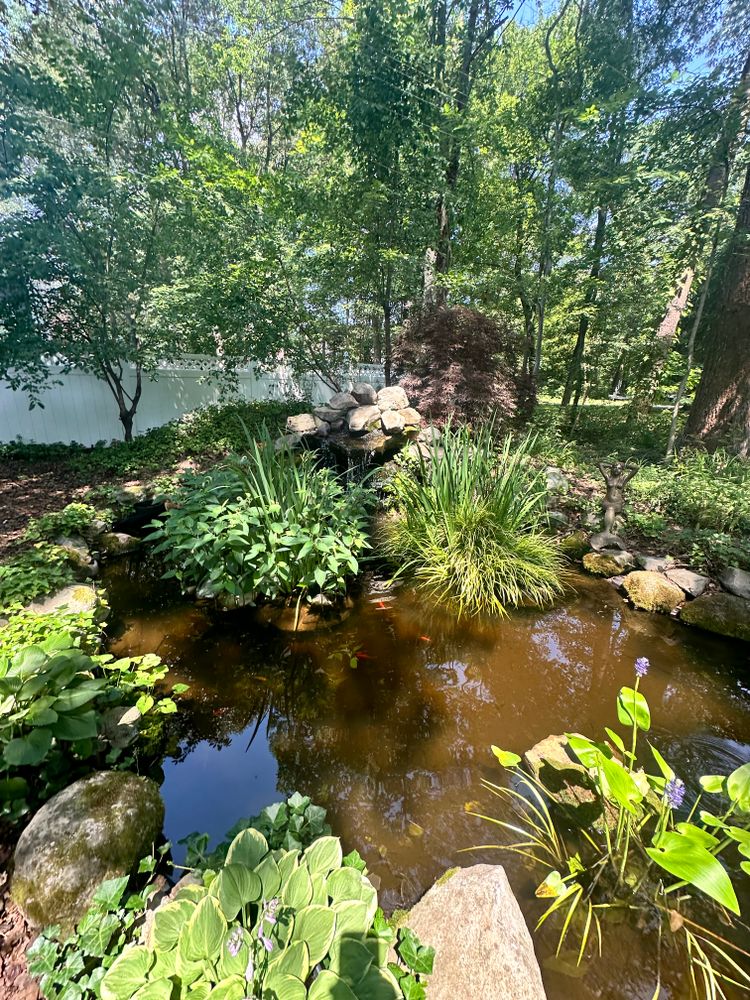 All Photos for Matteo Hardscapes in Towson,  MD