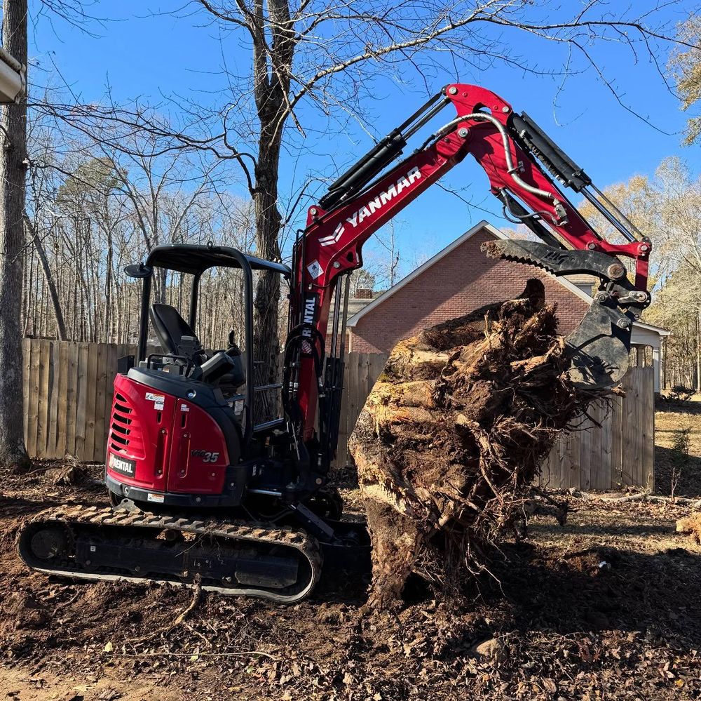 Brush Cutting and Removal for Fayette Property Solutions in Fayetteville, GA