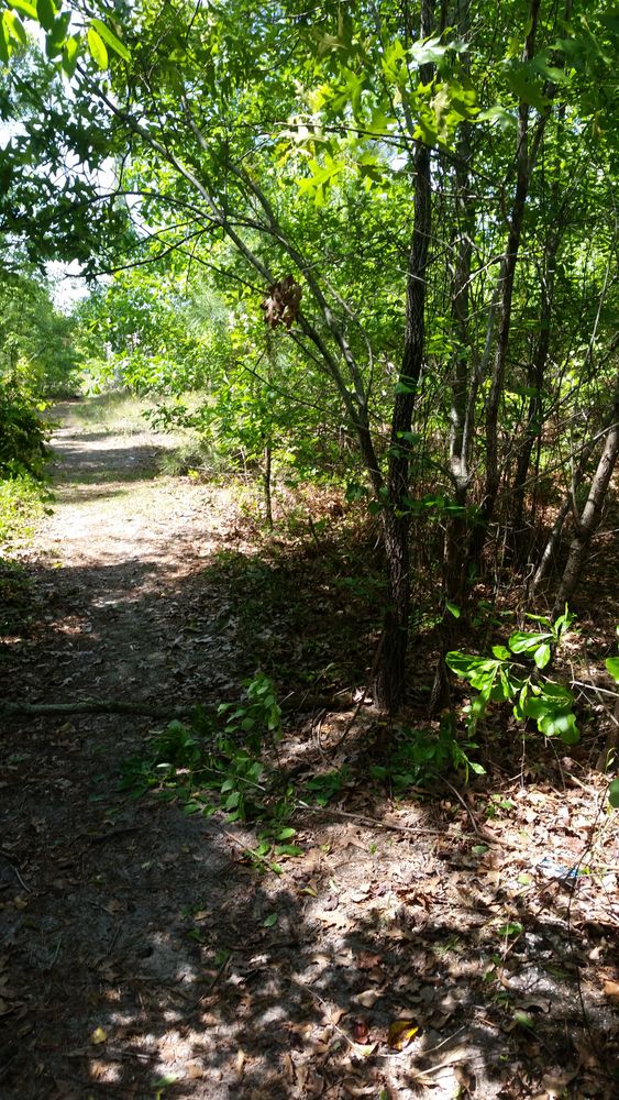 All Photos for Mancinas Home Improvement, Landscaping, & Lawn Care in Fayetteville, NC