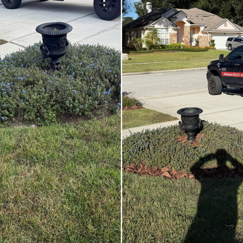 All Photos for Amerigrown Tree And Lawn in Apopka, FL