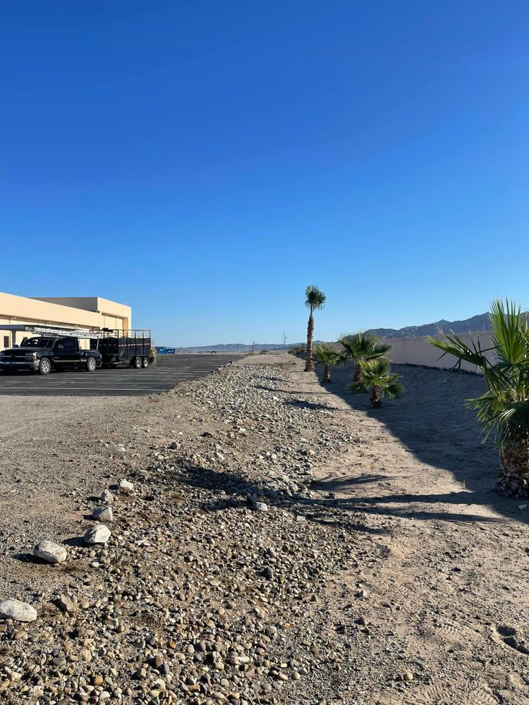 All Photos for Oliver L. Palm & Tree services in Yuma County, AZ