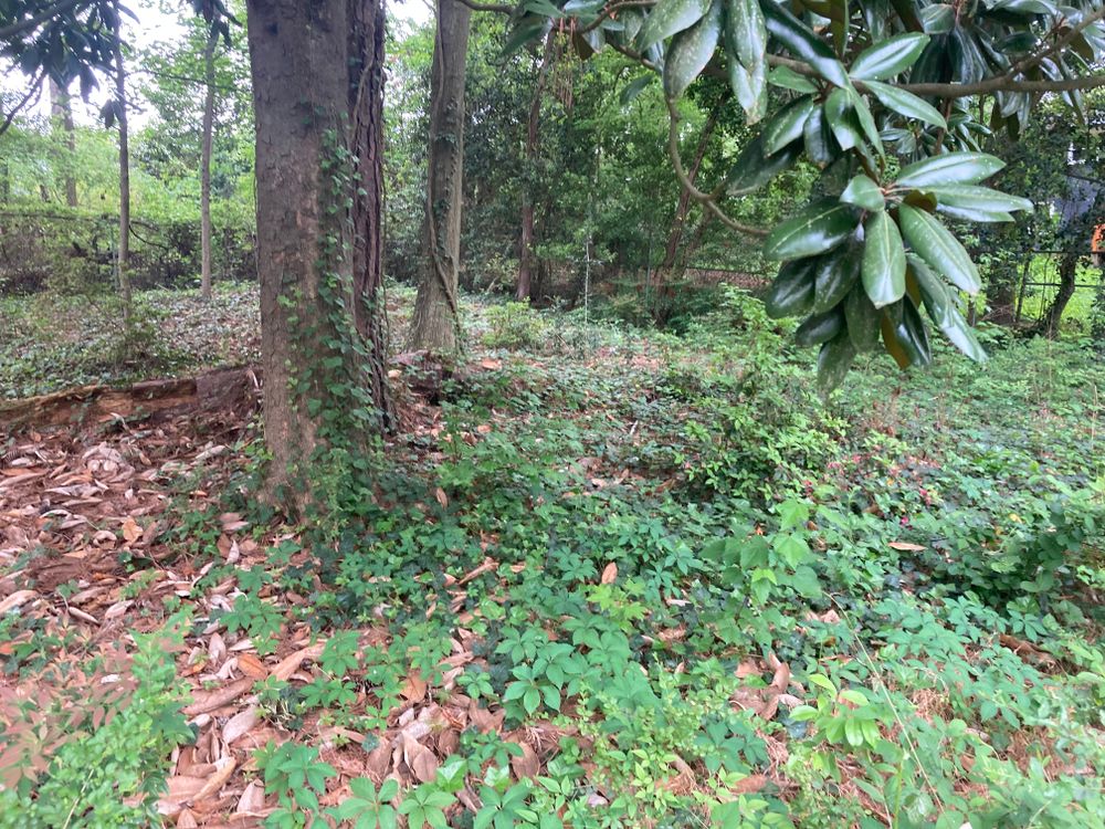 All Photos for Aries Lawnscapes in Atlanta, GA