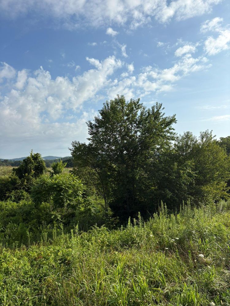 All Photos for Phillips Construction and Excavating in Seymour, TN