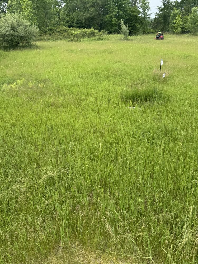 Landscaping Lawn Care for Daugherty's Tough Lawn Care in Essexville, MI