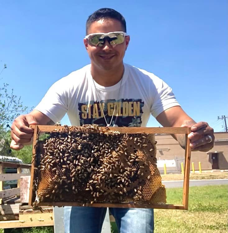 Professional bee relocation equipment