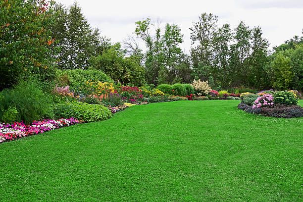 All Photos for Pro-Care LLC in Hudson, WI