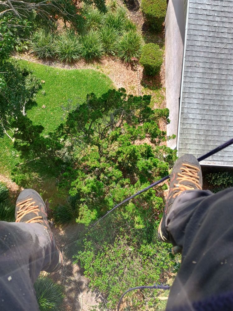 All Photos for Highlands Tree Service LLC in Avon Park, FL