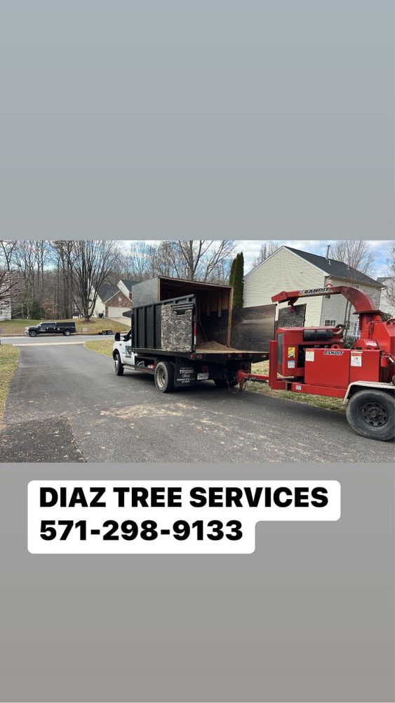 Tree Trimming and Removal for DIAZ TREE in Stafford, VA